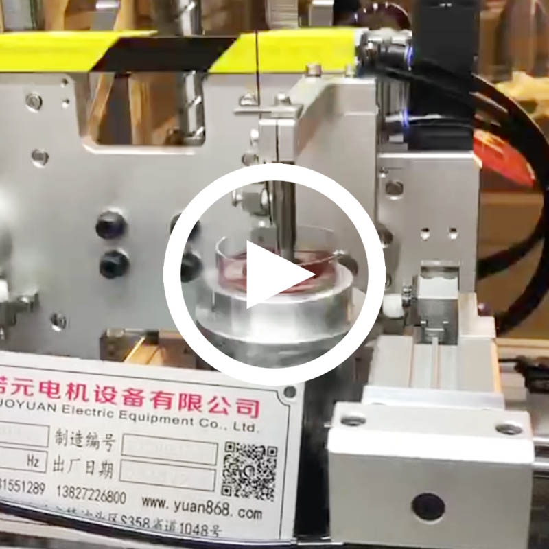 馬達定子全自動繞線機（雙工位）